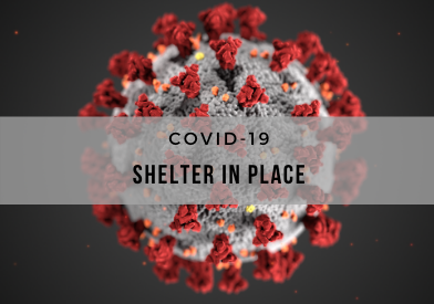 PD Web COVID19 Shelter In Place 392x275