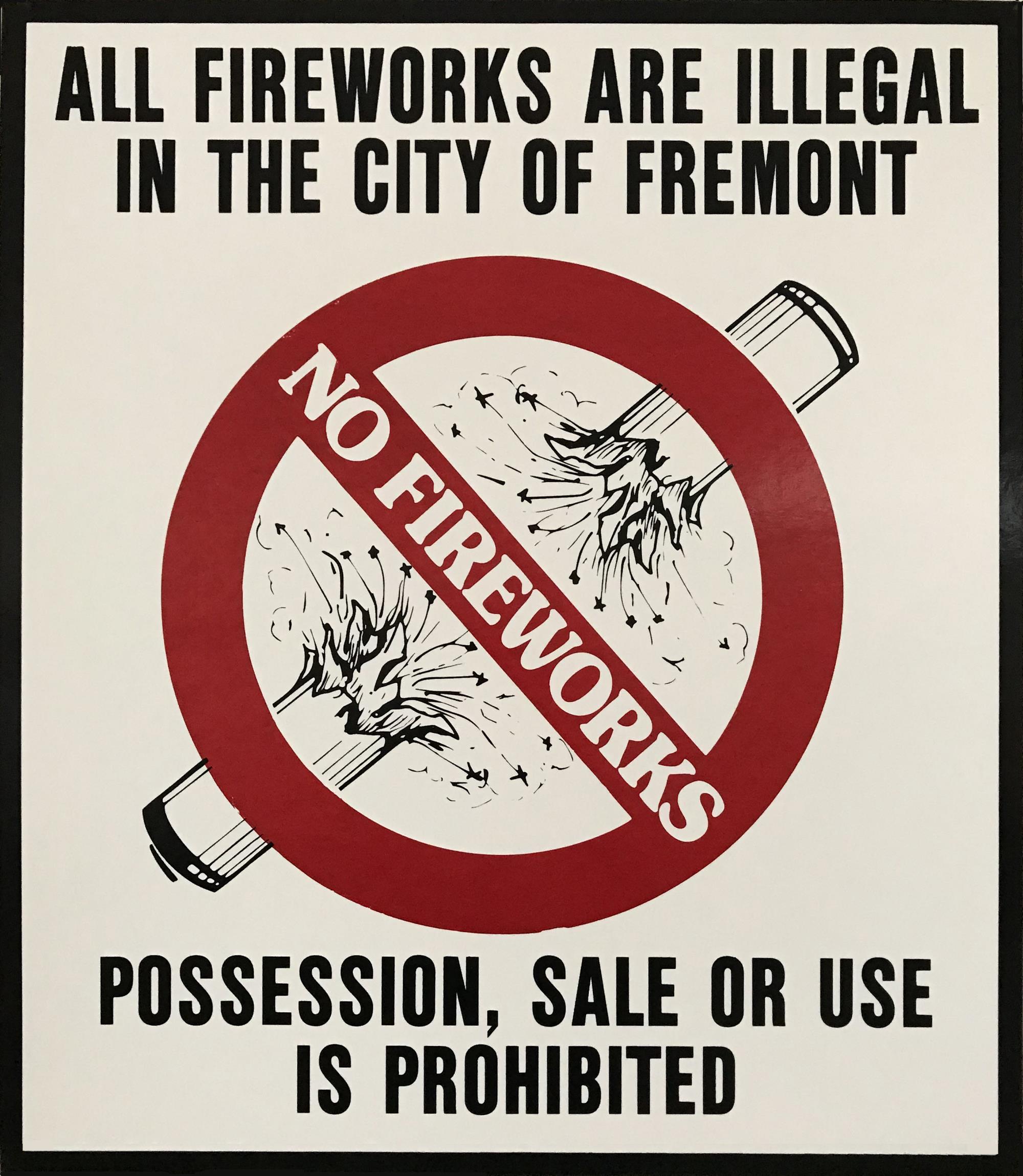 No Fireworks Sign_lg 