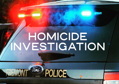 Homicide Investigation 392 x 275