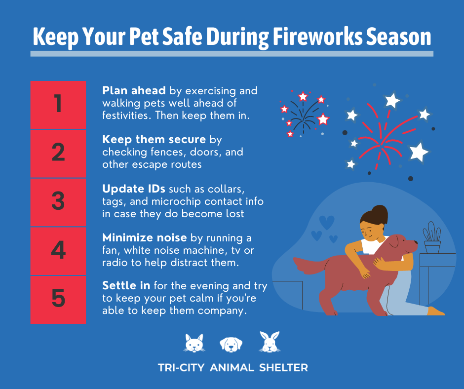 keep your pet safe