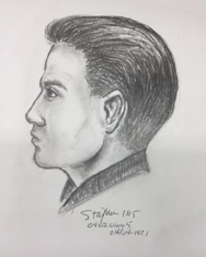 Suspect sketch.