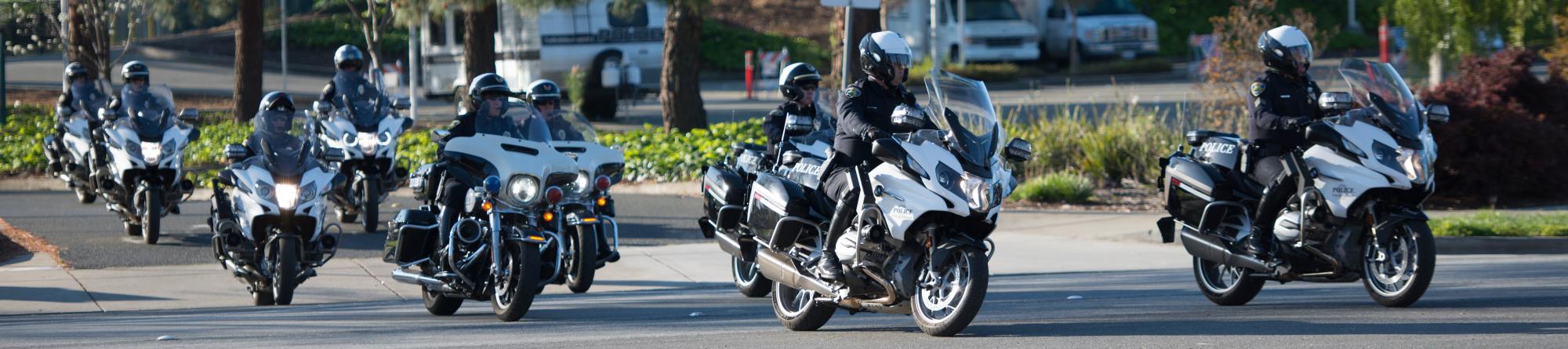 Traffic Motorcycles